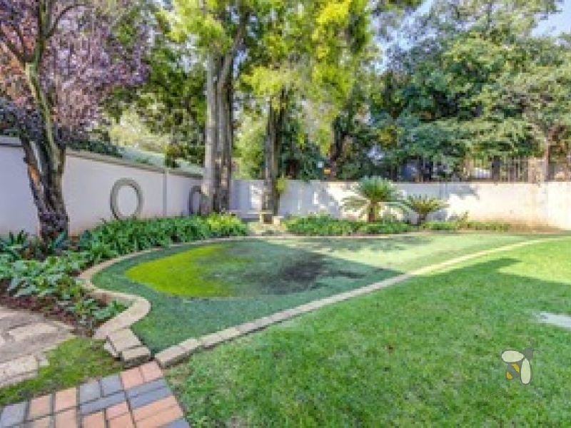 Sonneveld Estate homes for sale, Brakpan luxury property, 5 bedroom house Brakpan, homes with pool and bar Brakpan, Chas Everitt Brakpan listings, houses with 6 garages Brakpan