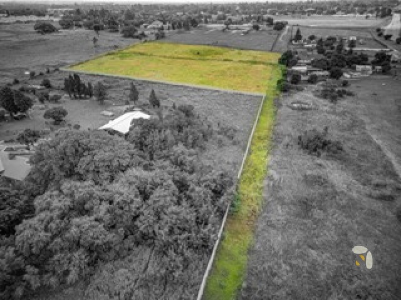 Brakpan agricultural land for sale, Witpoortjie AH property, farmland near Carnival City, agribusiness land Brakpan, Chas Everitt Brakpan