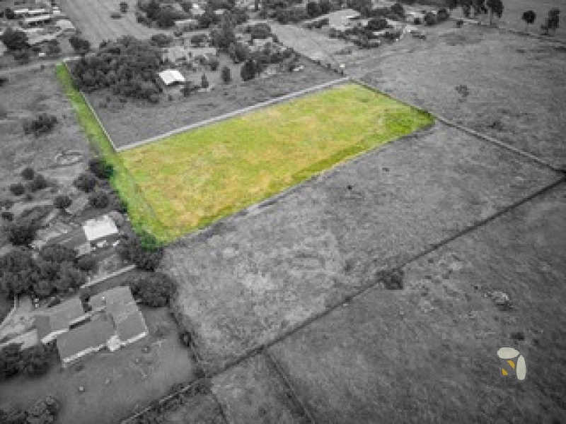 Brakpan agricultural land for sale, Witpoortjie AH property, farmland near Carnival City, agribusiness land Brakpan, Chas Everitt Brakpan