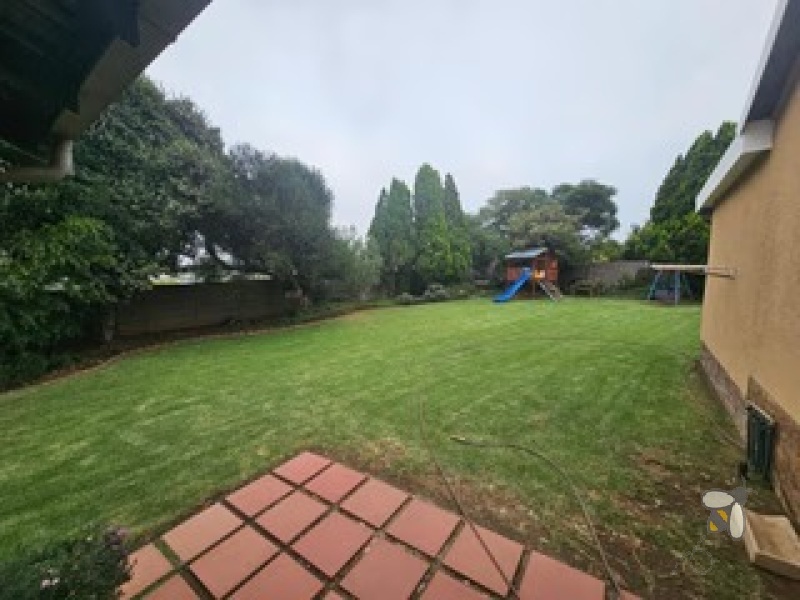 Dalpark homes for sale, Brakpan luxury property, 3 bedroom house Dalpark, home with pool and cottage Brakpan, Chas Everitt Brakpan listings, solar backup homes Brakpan