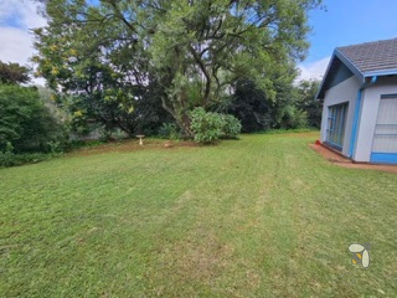 Larrendale Brakpan property, 5 bedroom home Brakpan, house with second dwelling Brakpan, Chas Everitt Brakpan, property with pool Larrendale