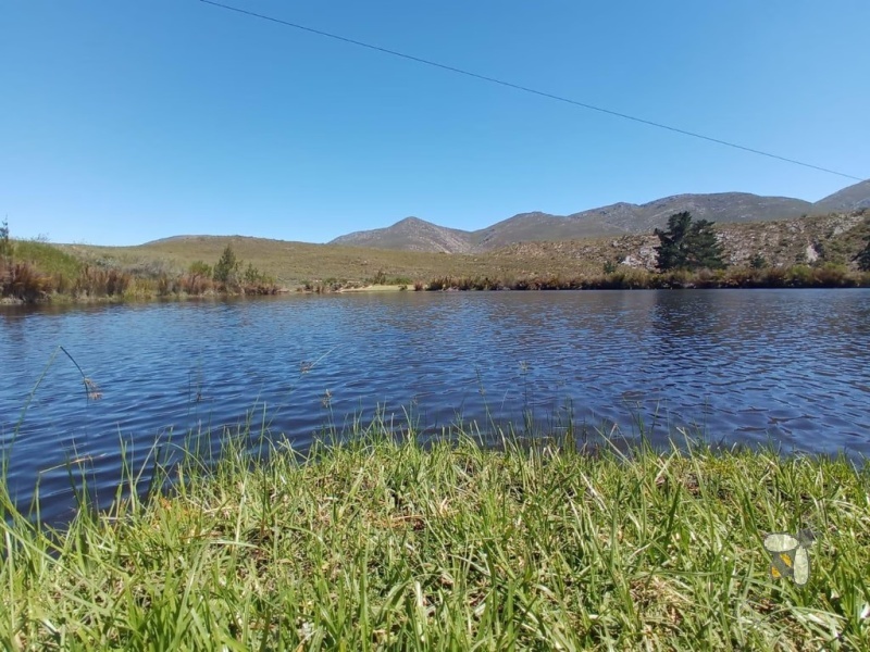 Ruiterbos farm for sale, Mossel Bay Fynbos farm, Attaquaskloof Nature Reserve property, adventure lodge for sale, conference venue Mossel Bay, 4x4 trails farm, self-catering accommodation investment, Khoisan rock art.