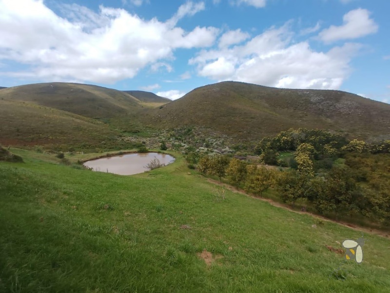 Farm for sale Herbertsdale, Mossel Bay farm with income, macadamia nut farm for sale, running concern property, farm with guest accommodation, pub and campsite property, farm with natural water, solar power potential.