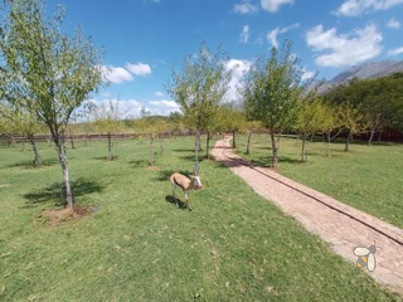 Oudtshoorn guest farm for sale, Swartberg mountains property, Cango Caves tourism investment, farm with accommodation, solar water system farm, tame wildlife property, furnished guest farm.