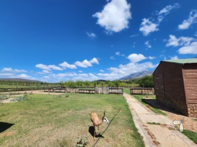 Oudtshoorn guest farm for sale, Swartberg mountains property, Cango Caves tourism investment, farm with accommodation, solar water system farm, tame wildlife property, furnished guest farm.
