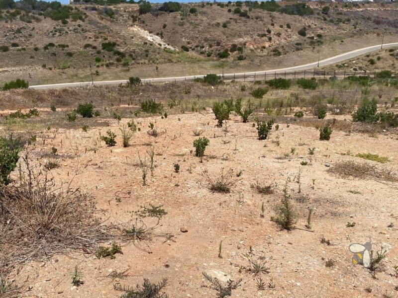 Vacant land for sale Menkenkop, 807m2 stand with sea view, plot for duet development, property near Blue Flag beach Mossel Bay, Menkenkop cul-de-sac stand.