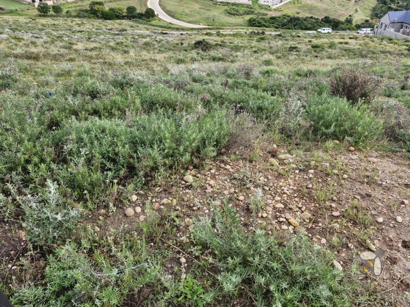 Vacant land Outeniquasbosch Hartenbos, 1503m2 plot with panoramic views, wildlife estate property for sale, secure residential stand Mossel Bay, eco-conscious estate living.