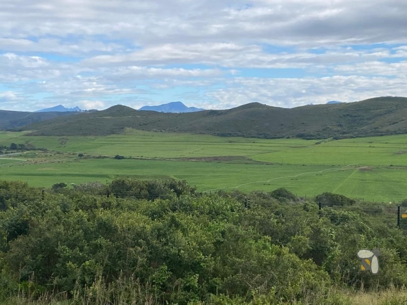 Vacant land for sale Reebok, 500m2 level stand, north facing plot Garden Route, property with mountain views, land for holiday home.