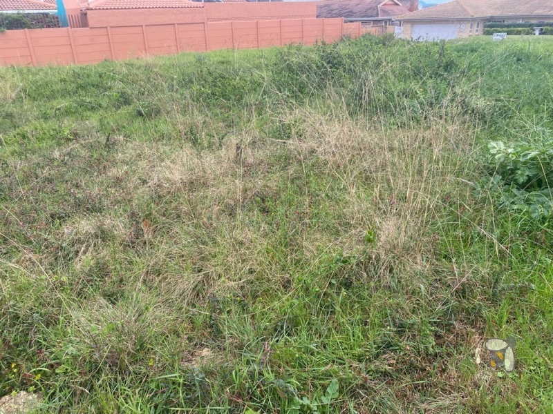 Vacant land for sale Reebok, 500m2 level stand, north facing plot Garden Route, property with mountain views, land for holiday home.