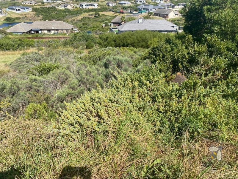 Vacant stand for sale Seemeeu Park, 631m2 sloping plot, land with panoramic mountain view, upmarket area Mossel Bay, investment property with wildlife.