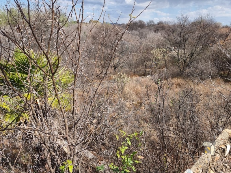 Riverfront stand for sale Vaaloewer, 837m2 plot Vaal River access, land with boat permit included, stunning river views property, peaceful living Vaaloewer.