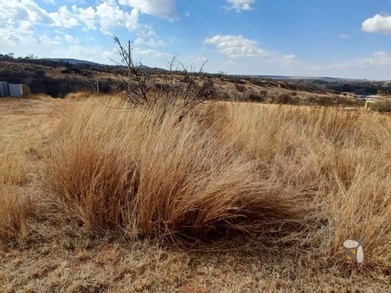 Stand for sale Vaaloewer, 1084m2 stand with scenic views, tranquil riverside town land, escape city life plot, land for weekend getaway.