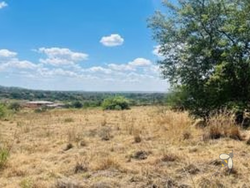 Stand for sale Vaaloewer, 1095m2 riverfront stand, plot next to Vaal River, beautiful river views property, Vaaloewer Boat Club access, secure riverside village.