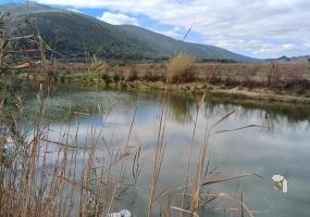 Mossel Bay Rural, farm for sale, 17.26 hectare, Gourits River, river access, 4 bedroom home, mountain views, fountain water, lifestyle property, water sports.