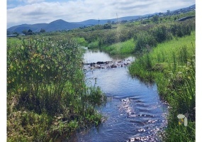Rural Mossel Bay, 105.6 hectare farm for sale, river property, off-grid solar, Brandwag River, Hartenbos, Outeniqua Mountains, investment property, livestock farm, going concern option.