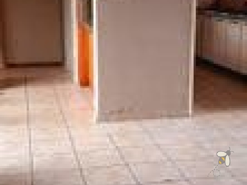 Secunda Central, investment property, 3 homes for sale, triplex, rental income, multi-generational living, 7 bedrooms total, private yards, carports, financial potential.