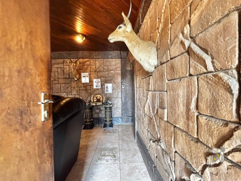 Kriel, stylish family home, 3 bedroom house for sale, swimming pool, covered lapa, built-in braai, low maintenance garden, open-plan living, move-in ready, established neighborhood.