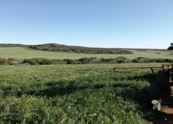 For Sale: Stilbaai Rural 988 Ha Farm