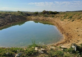 Stilbaai farm for sale, 118 hectares, fertile land, planted pasture, natural grazing, earth dam, sheep farming, firewood harvesting, going concern, affordable farm.