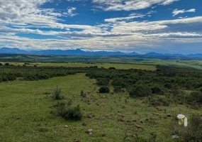 Mossel Bay rural farm for sale, 288 hectare, N2 access, two title deeds, agricultural potential, borehole drilling points, old railway houses, renovation opportunity, sandy terrain, investment farm.