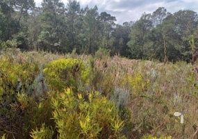 Mossel Bay rural farm for sale, 236 hectare, nature lover, blank canvas, dryland grazing, livestock farming, mountain views, diverse landscape, conservation opportunity, lifestyle farm.