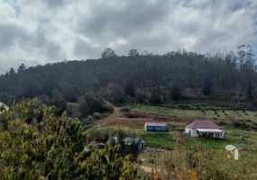 Leeukloof farm for sale, 24.8 hectare, off-grid property, solar power, battery backup, date trees, peppadew crop, strong borehole, ten water tanks, two homes, Mossel Bay rural.