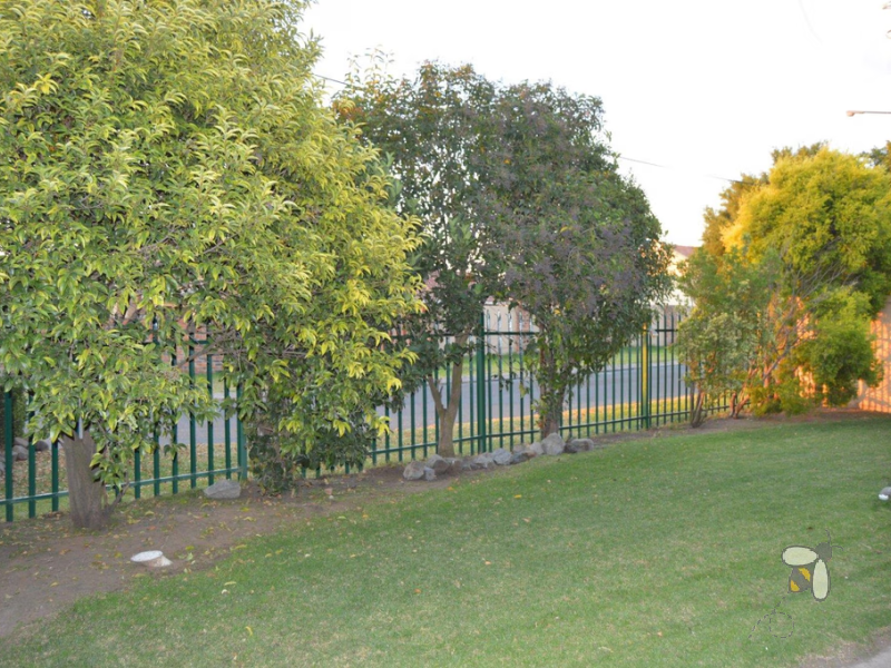 Secunda complex unit, pet friendly, spacious yard, built-in braai, full bathroom, open plan living, well managed complex