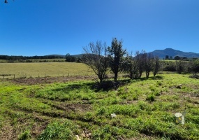 R328, Ruiterbos, Western Cape 6506, 3 Bedrooms Bedrooms, 0 ,4 BathroomsBathrooms,Farm,For Sale,R328,0,10357