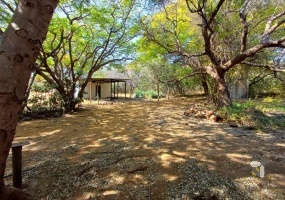 Bushveld farm for sale, Thabazimbi farm, game farm, income-generating property, South African bushveld property, farm with borehole, multi-home farm, wildlife property, farm with lodge, investment farm