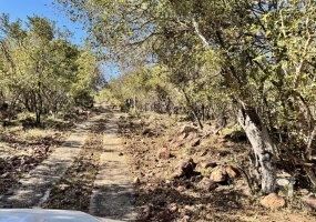 Game farm for sale Limpopo, Hunting farm South Africa, Off-grid game lodge, Bushveld property, Wildlife estate for sale, Limpopo lodge, Private game reserve, River frontage farm, South Africa hunting property, Eco-lodge for sale, Turnkey safari lodge