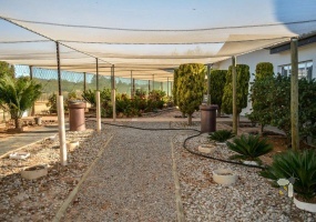 Klawer family home for sale, 5 bedroom house Klawer, property with vineyard Klawer, house with flat Klawer, fruit trees property Western Cape, spacious home Klawer