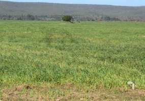 Stilbaai farm for sale, Riversdale farm property, farm with boreholes, agricultural property Stilbaai, farm with cool store, meat processing facility Stilbaai, farm with soil dams, Western Cape farmland, Stilbaai investment property, farm with outbuildings