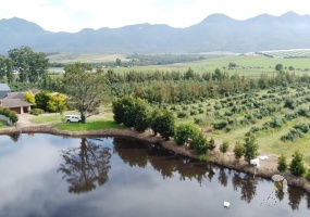 George avocado farm for sale, smallholding Geelhoutboom, avocado orchard George, farm near George Airport, lifestyle farm Western Cape, avocado production South Africa, irrigation dam property, smallholding with two houses George