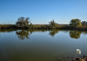 Vredendal farm for sale, vineyard farm Vredendal, wine farm Western Cape, pecan farm for sale South Africa, olives and vineyards for sale, income-generating farm Vredendal