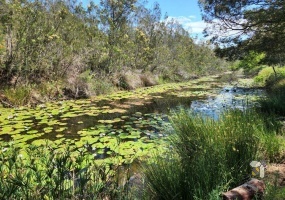 Mossel Bay farm for sale, irrigation farm Western Cape, farm with water rights South Africa, high value crop farm for sale, riverfront farm Mossel Bay