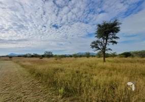 Thabazimbi farm for sale, Kransberg mountain view property, 16ha farm Thabazimbi, smallholding Limpopo, cattle farm Thabazimbi, farm with borehole, small farm for sale, Thabazimbi agricultural land, property with strong borehole, Limpopo farming property
