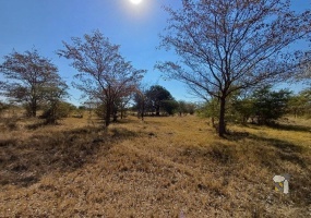 Thabazimbi smallholding for sale, Kransberge view property, Limpopo smallholding, Thabazimbi lifestyle property, farm with swimming pool, smallholding with offices, property with workshop Limpopo, Thabazimbi agricultural property, smallholding with shooting range, Thabazimbi development land