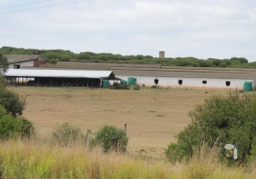 Riversdale farm for sale, lifestyle farm Riversdale, arable land farm, cattle and sheep facilities, boreholes and dams, productive farm, Riversdale property for sale, farm income opportunities