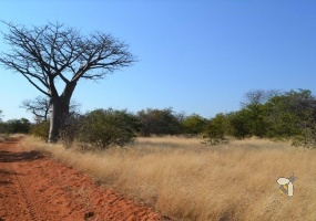 Musina farm for sale, Bushveld property Limpopo, 4800 ha farm Musina, Baobab trees, game farm for sale, hunting property Limpopo, Musina lifestyle farm, wildlife farm for sale