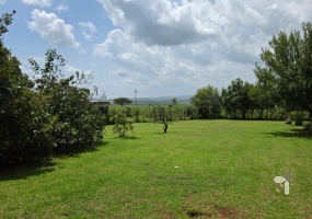 farm for sale Stoffberg, Middelburg farm property, Mpumalanga farm for sale, income generating farm South Africa, agricultural land Stoffberg